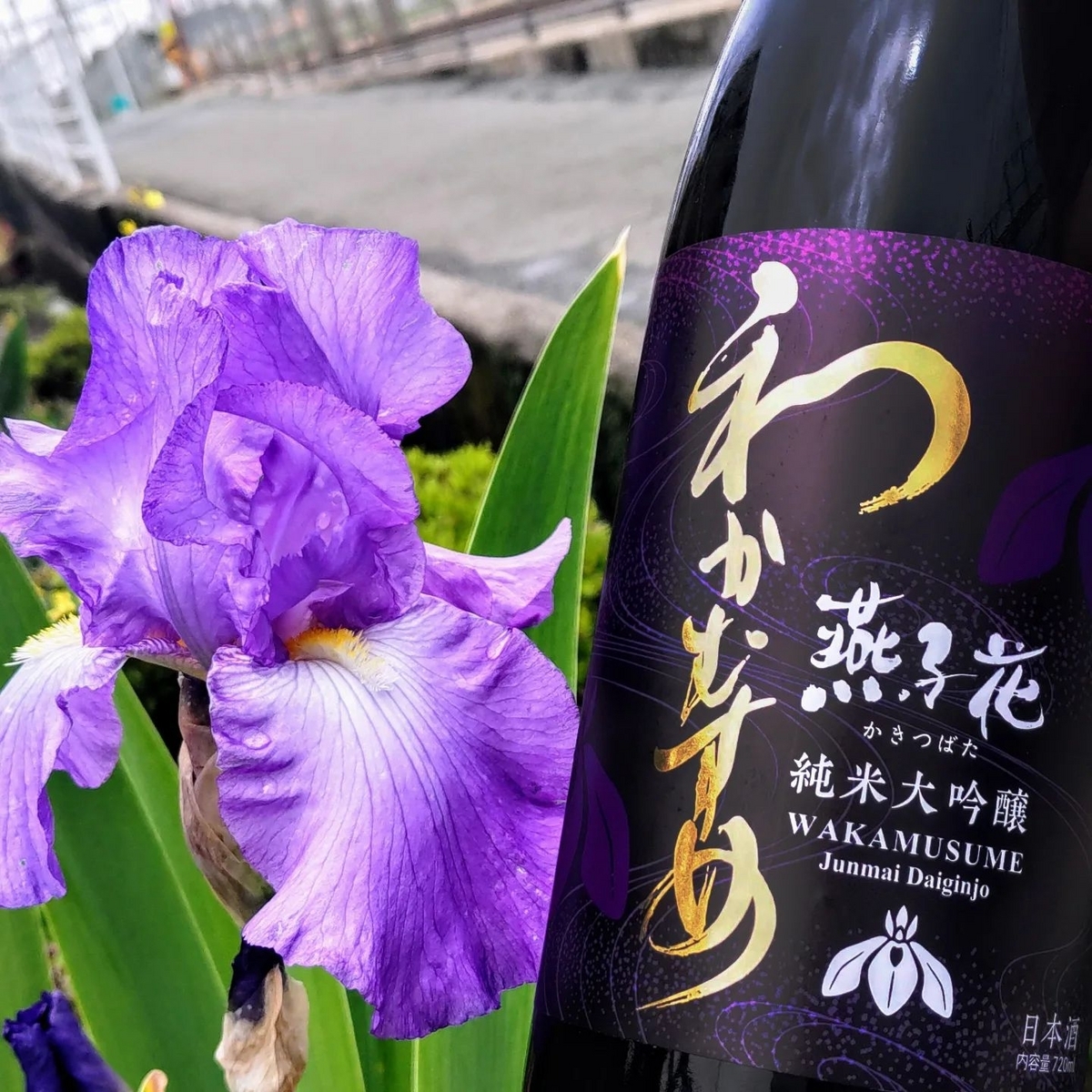 ヤマカワ様コメント用 わかむすめ ＞ 松崎良子さん(コクリコ坂から)［ジブリ酒］ - こるね酒