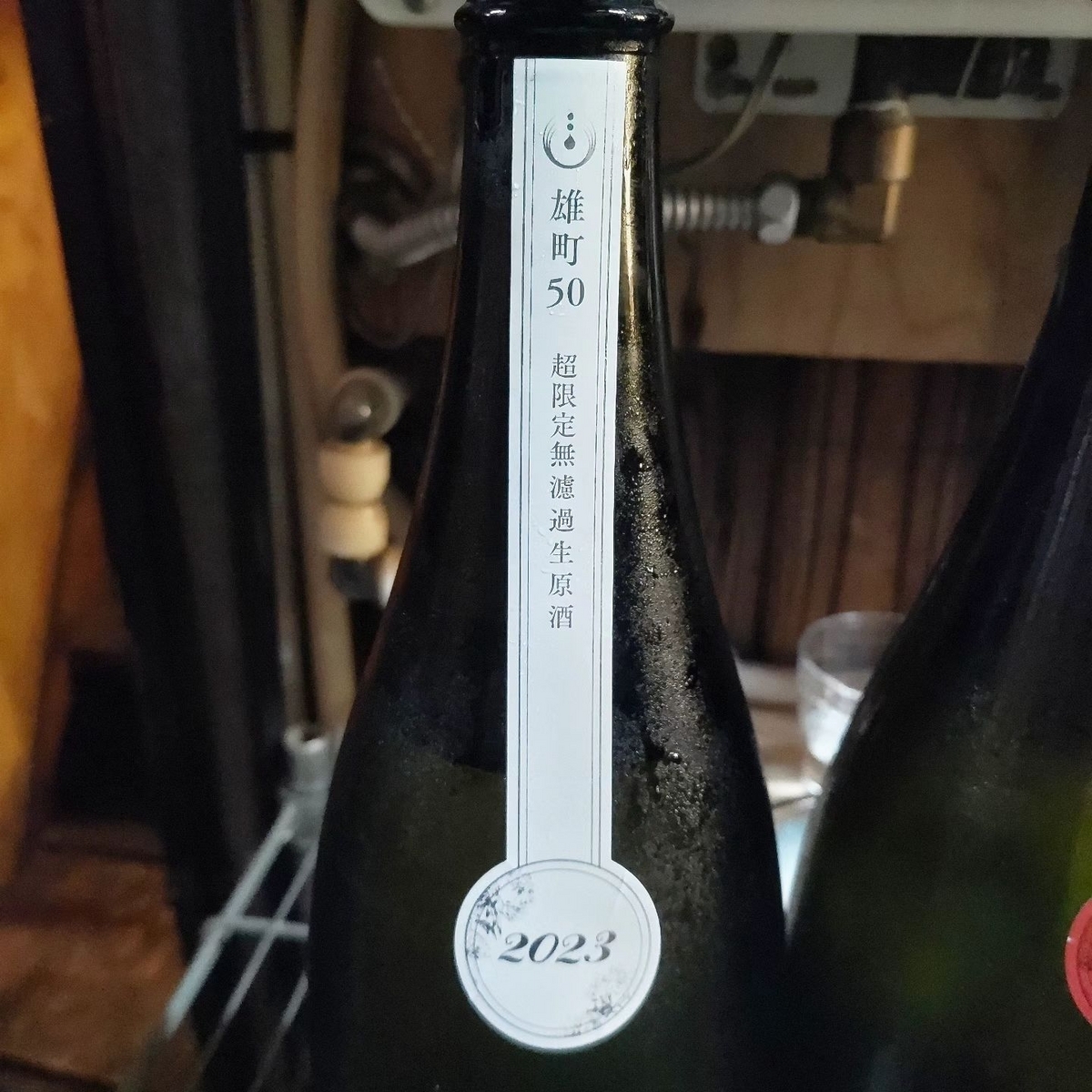 寒菊