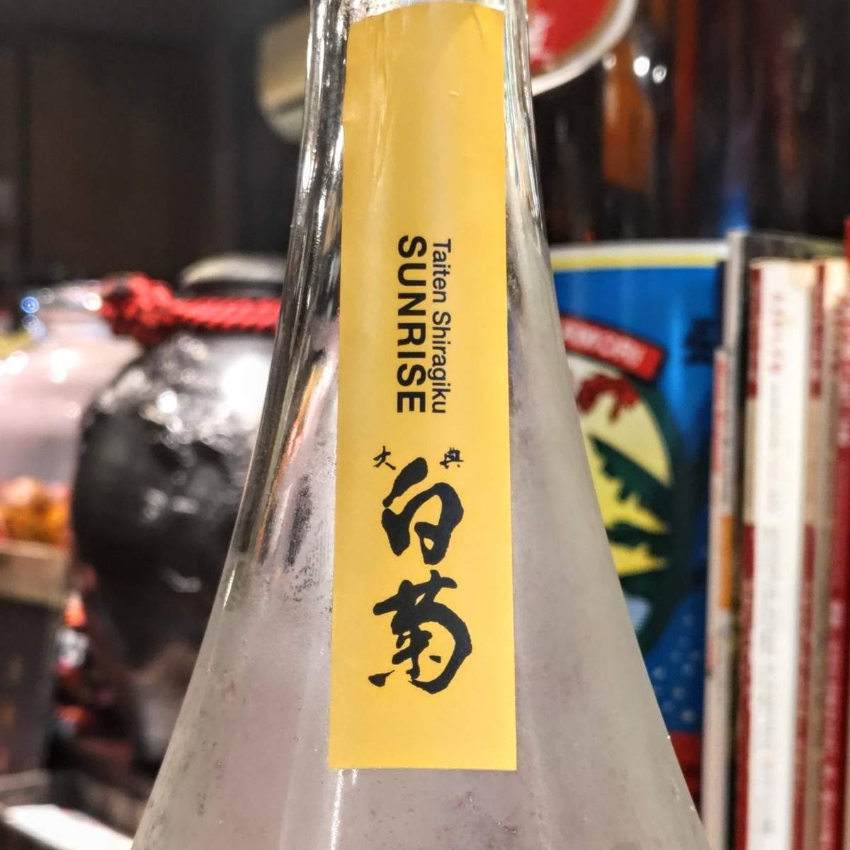 大典白菊