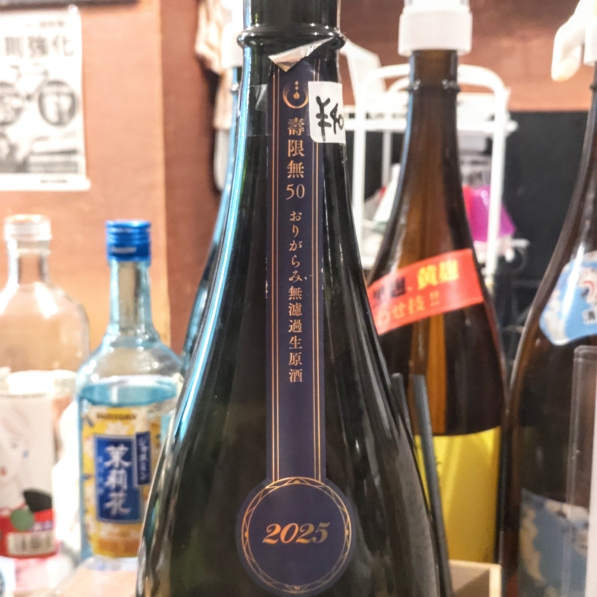 寒菊