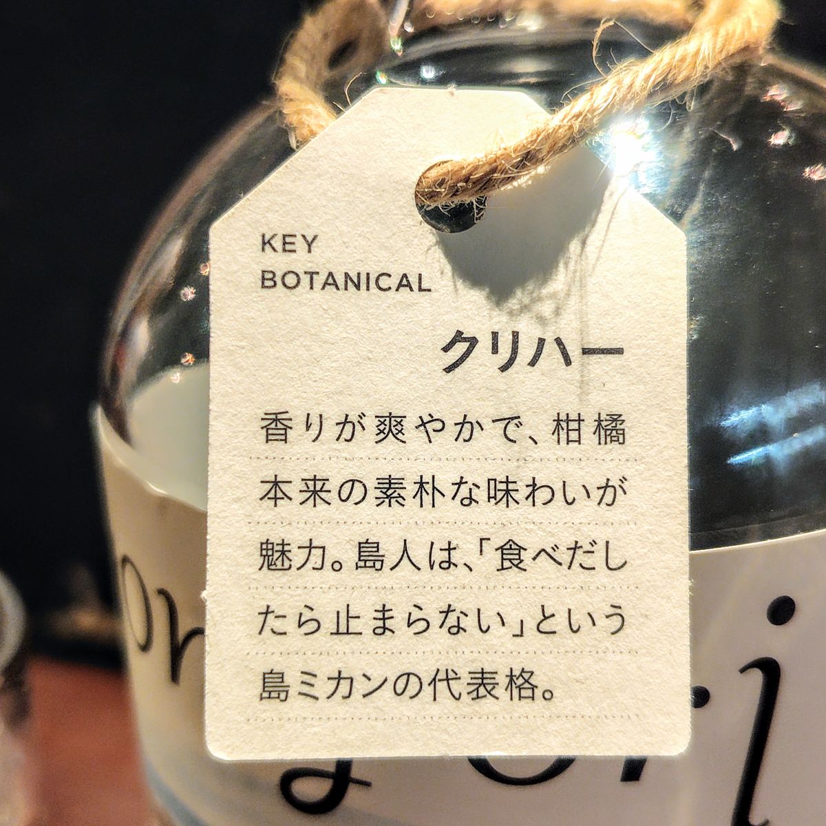 よんよ~り