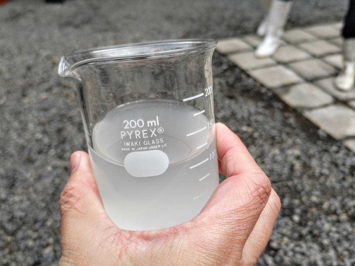 そやし水