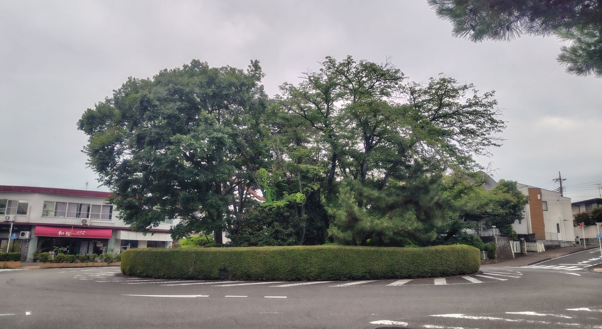 耳をすませば