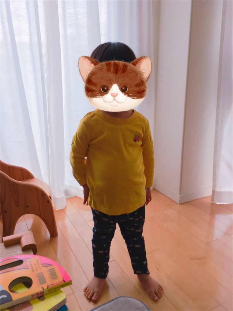 f:id:cornote:20190404121433j:image
