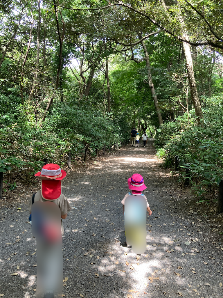 f:id:cornote:20220711131118p:image