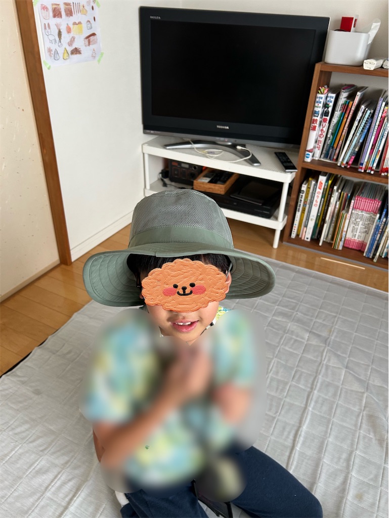 f:id:cornote:20240725124217j:image