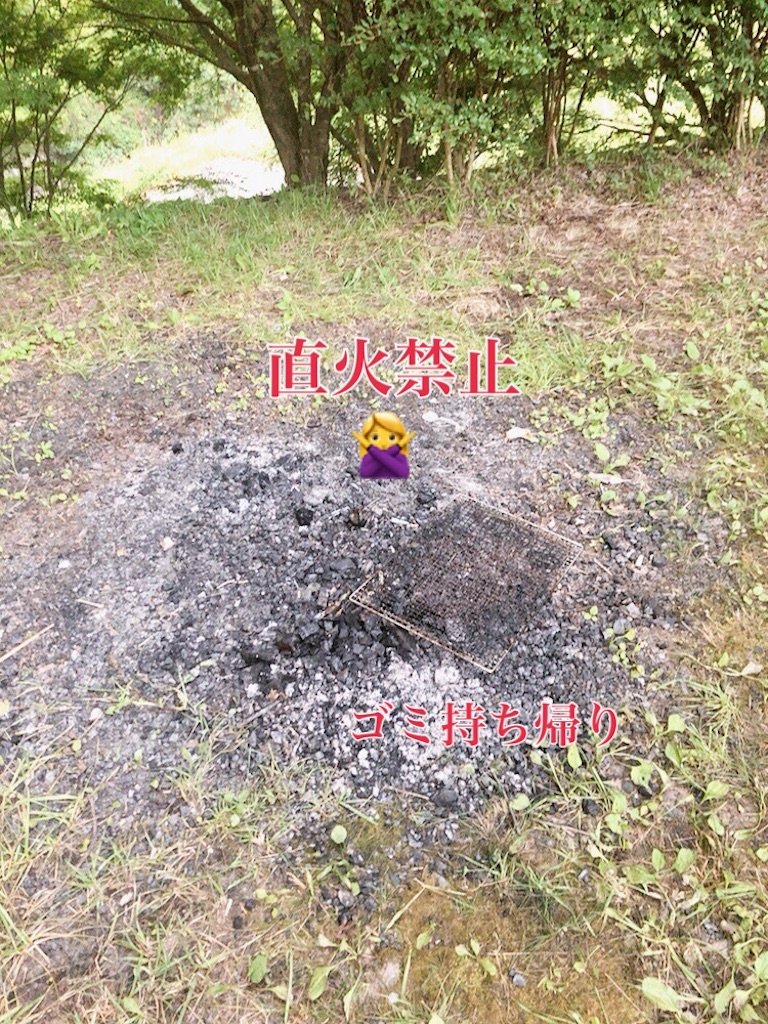 f:id:coro3po:20200817164302j:image