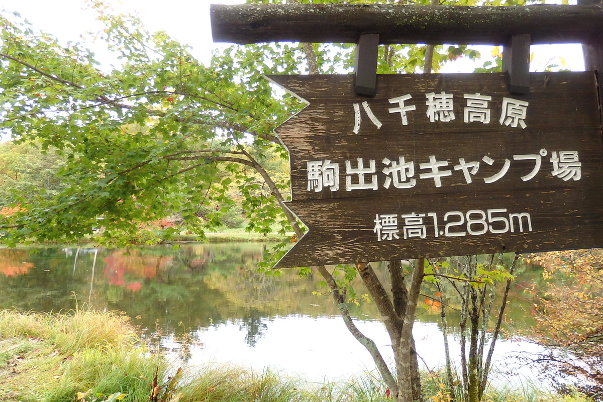 f:id:coro3po:20201028135508j:plain
