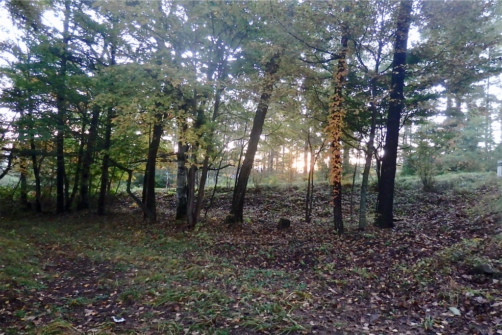 f:id:coro3po:20201107090157j:image