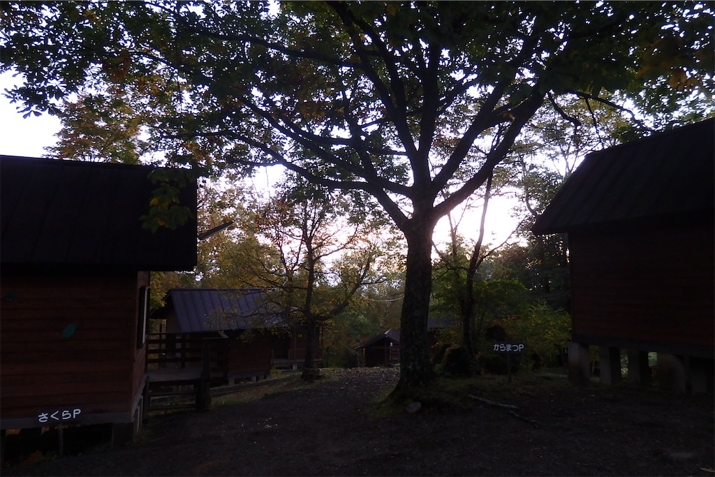 f:id:coro3po:20201107090206j:image