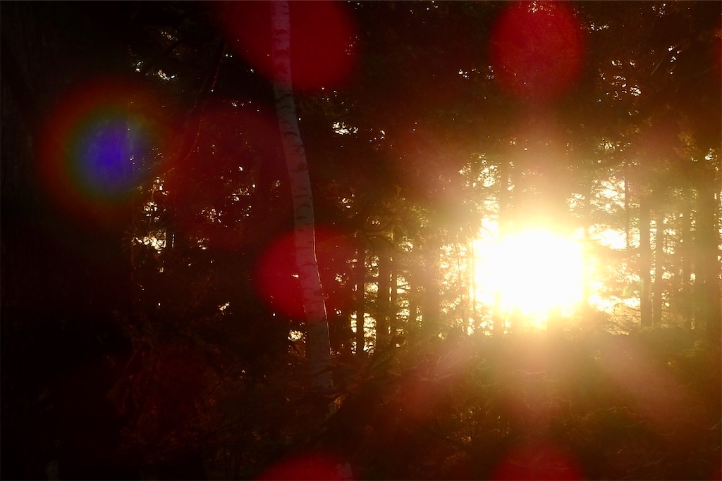 f:id:coro3po:20201107141251j:image