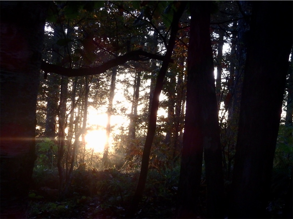 f:id:coro3po:20201107141258j:image