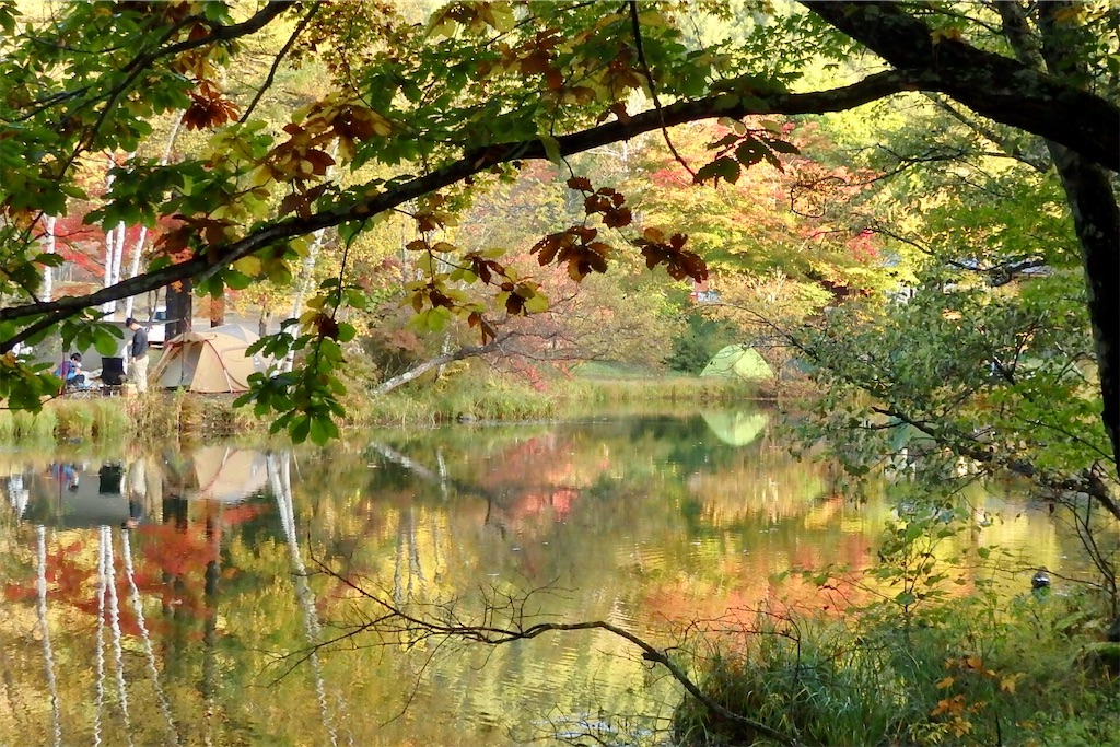 f:id:coro3po:20201107141814j:image