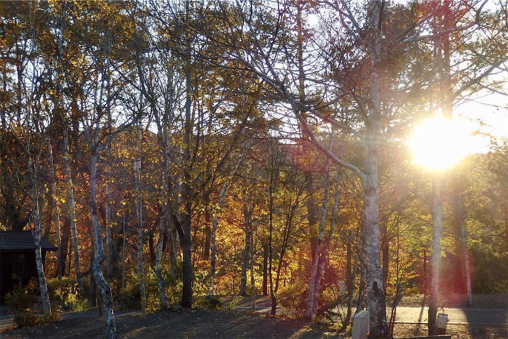 f:id:coro3po:20201130102130j:image