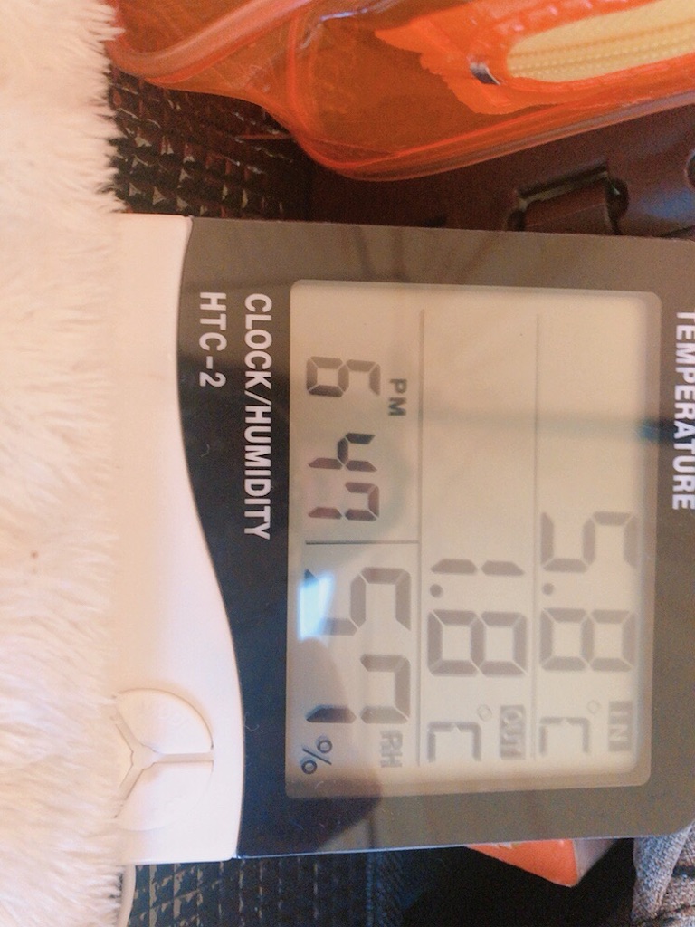 f:id:coro3po:20201130102217j:image