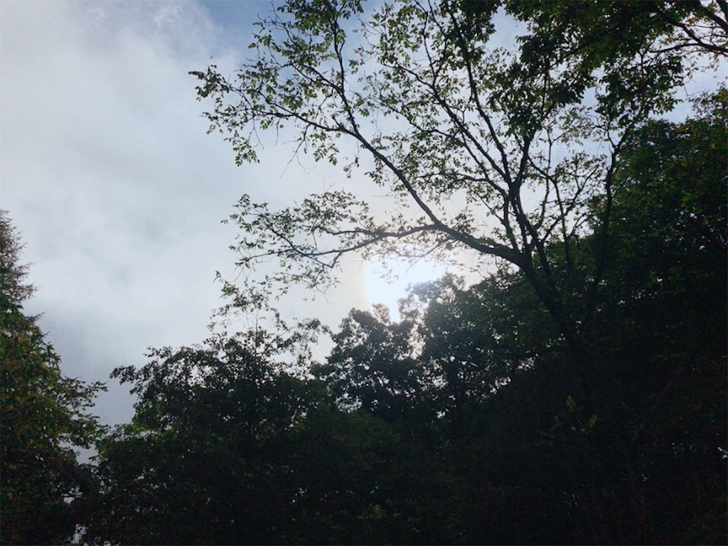 f:id:coro3po:20210917093900j:image