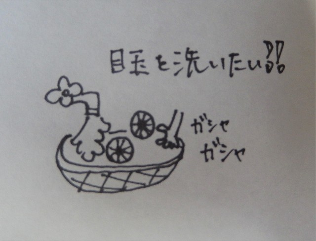 f:id:corochannel:20180330162737j:plain