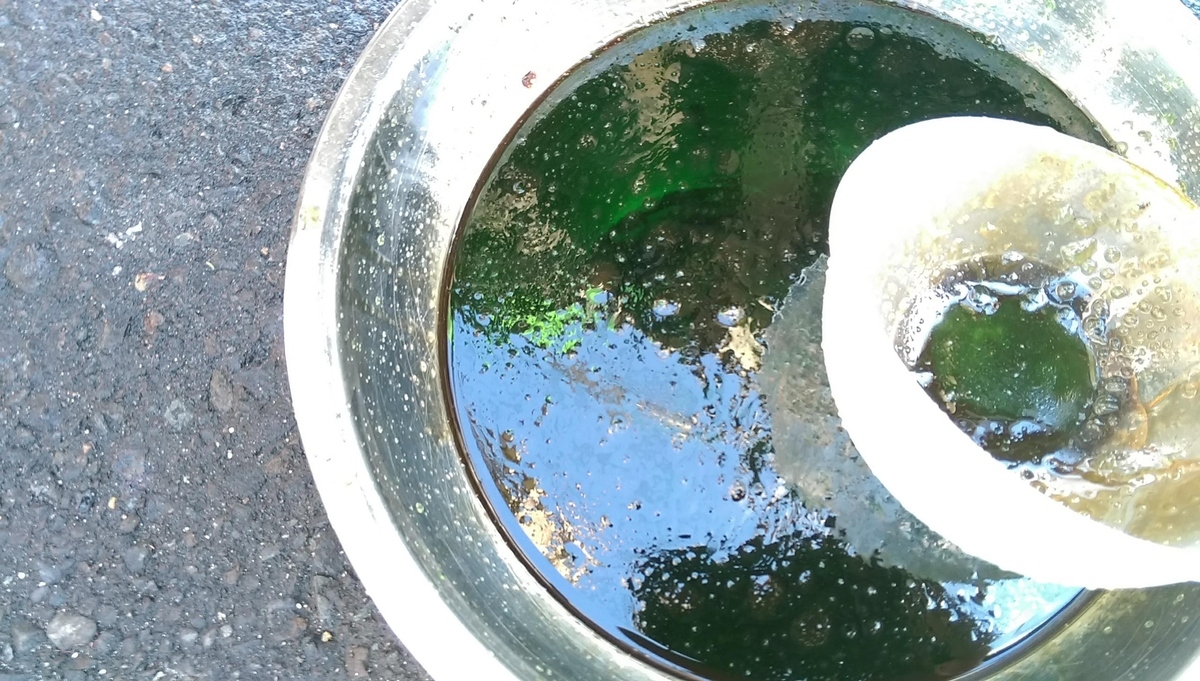 ninja250先輩のクーラント交換＆冬の盆栽準備 - クッソ汚い絵描きのブログ