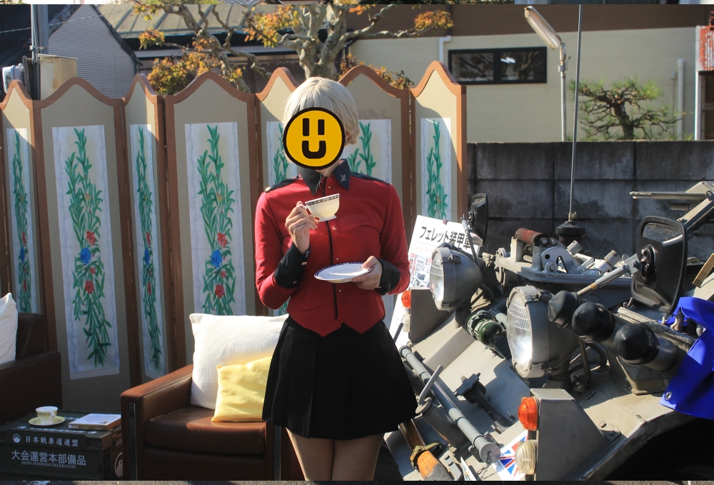 f:id:corocoma:20161115004833j:plain