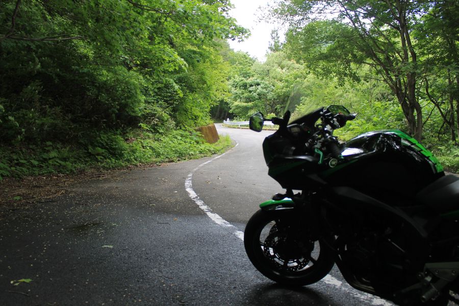 久々に笹谷峠へ＆新型ninja650見に行く - クッソ汚い絵描きのブログ