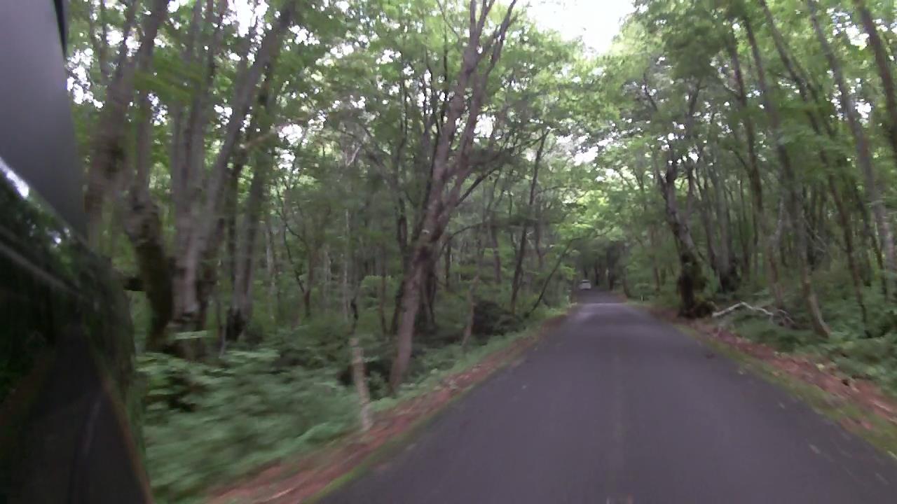 f:id:corocoma:20170816224314j:plain