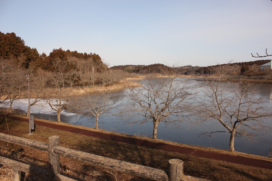 f:id:corocoma:20180116093207j:plain f:id:corocoma:20180116093207j:plain