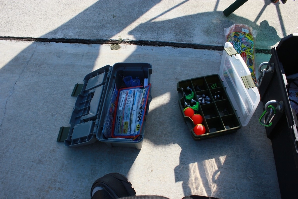 f:id:corocoma:20190129222940j:plain