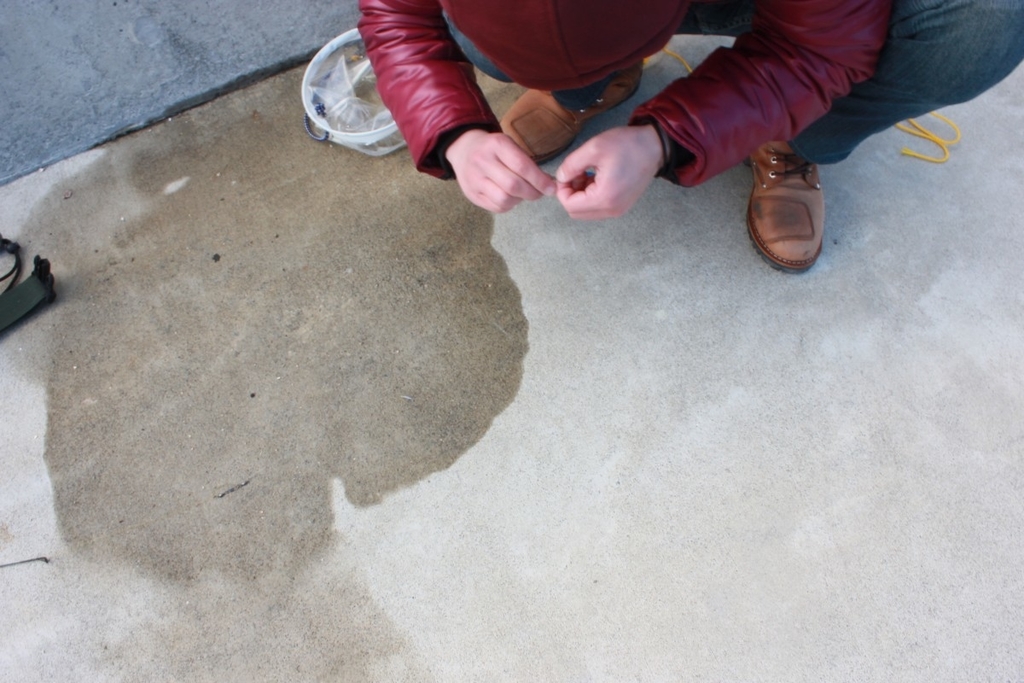 f:id:corocoma:20190129223014j:plain