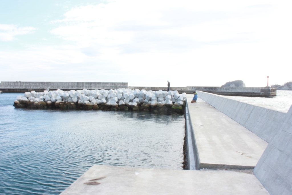 f:id:corocoma:20190129223020j:plain