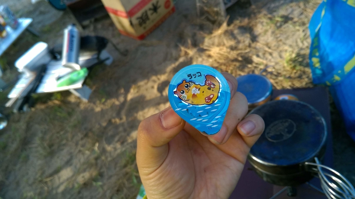 f:id:corocoma:20190518061802j:plain
