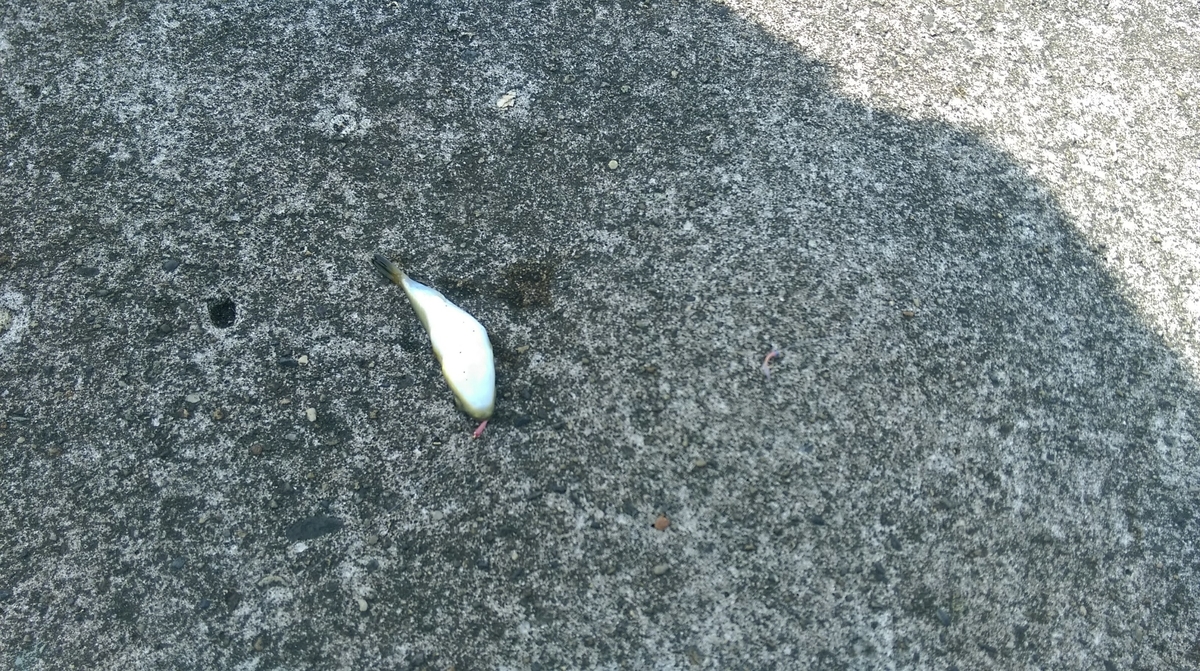 f:id:corocoma:20190518085733j:plain