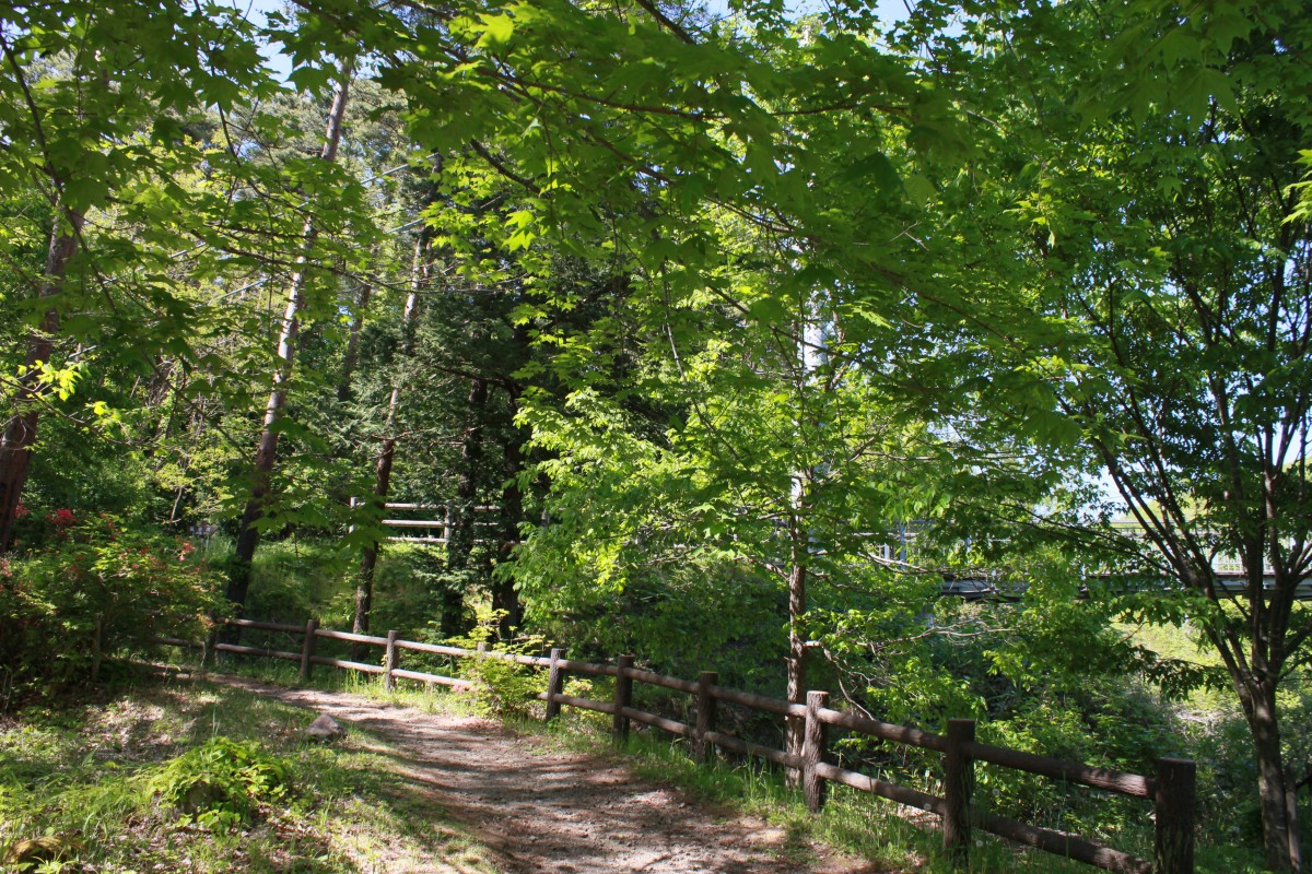 f:id:corocoma:20190523143716j:plain