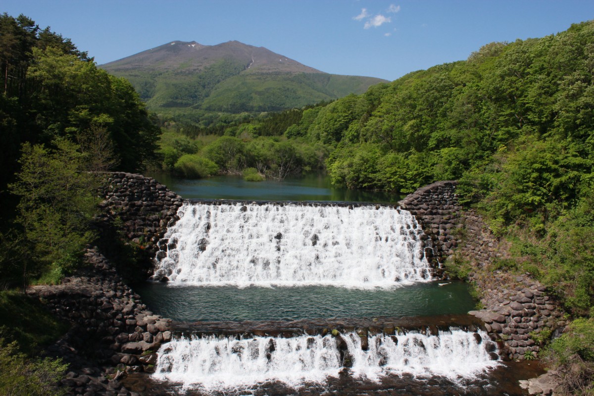 f:id:corocoma:20190523143927j:plain