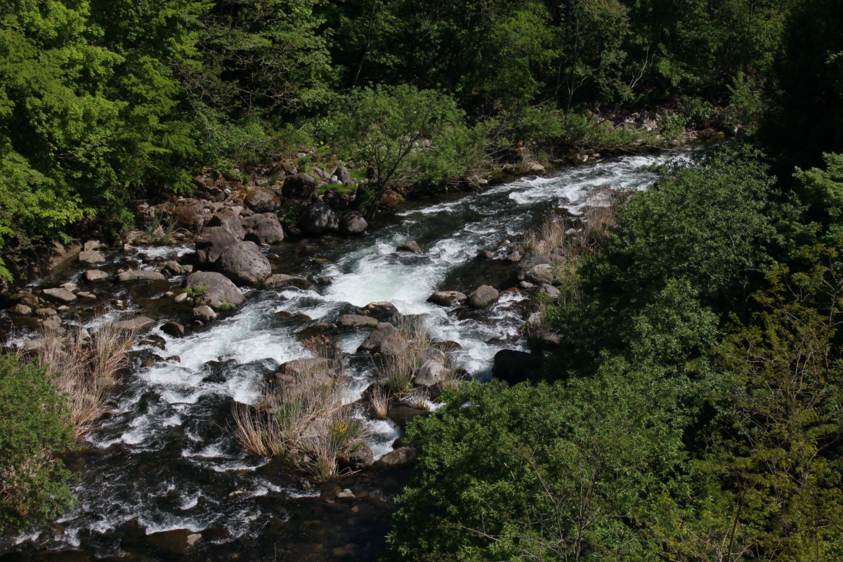 f:id:corocoma:20190523143945j:plain