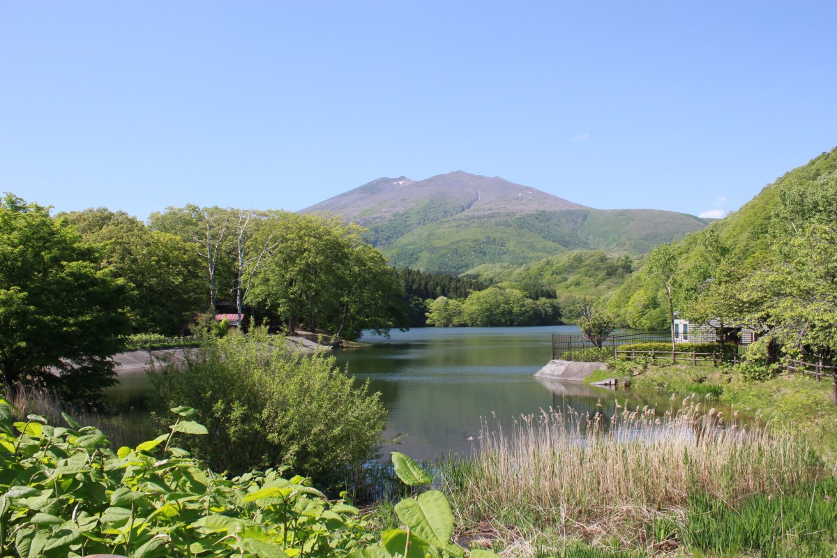 f:id:corocoma:20190523145050j:plain