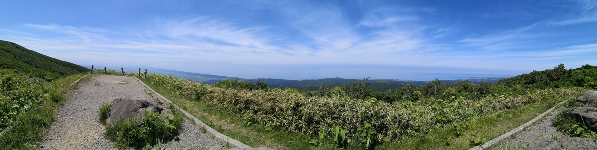 f:id:corocoma:20190614105231j:plain