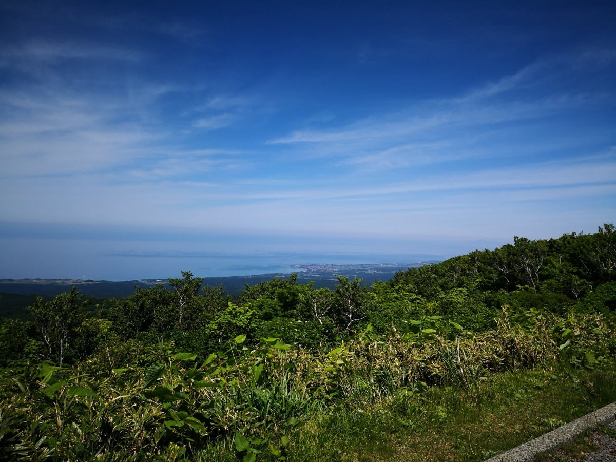 f:id:corocoma:20190614105252j:plain