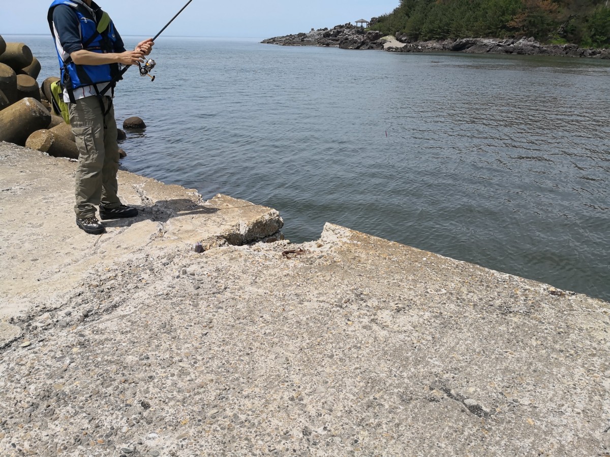 f:id:corocoma:20190614123027j:plain