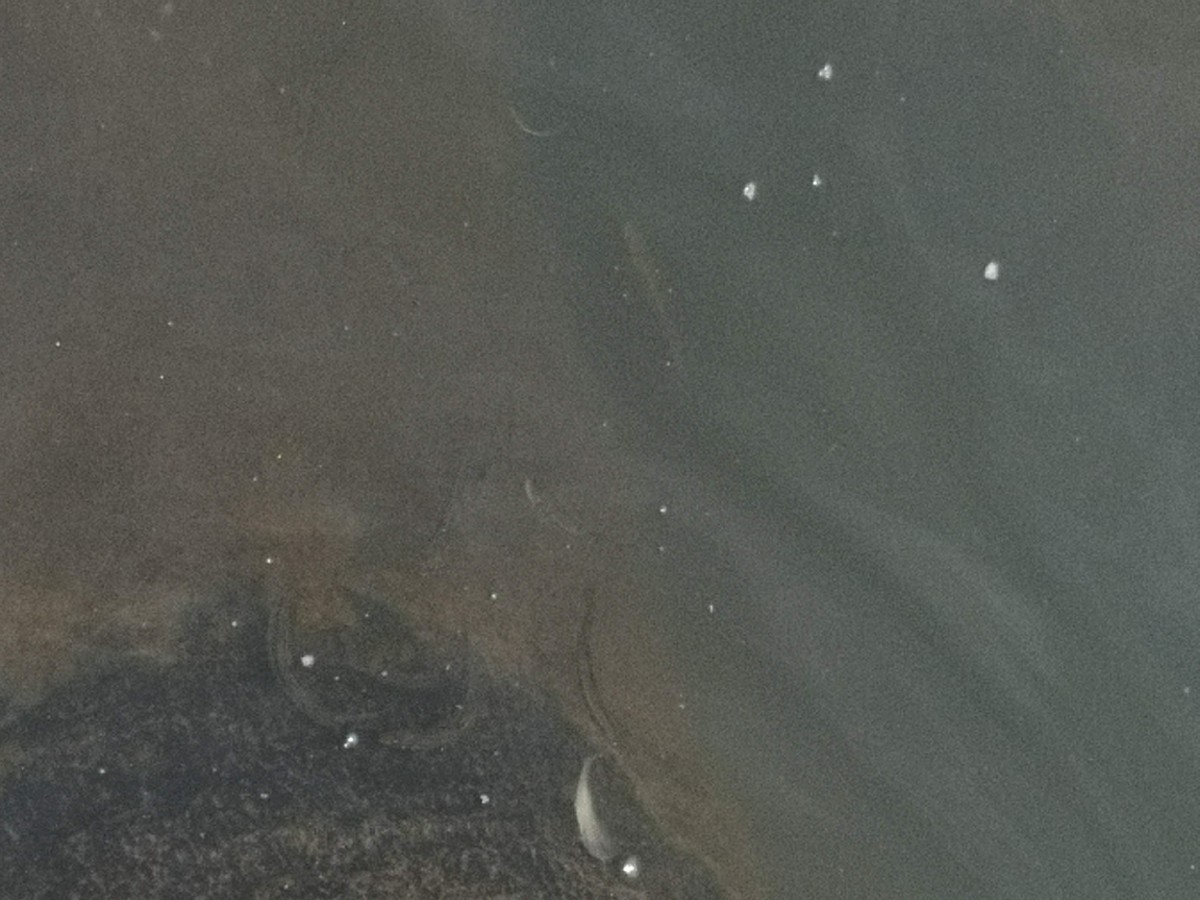 f:id:corocoma:20190614124605j:plain