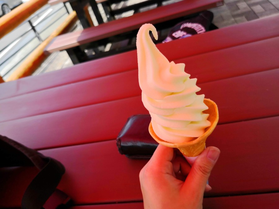 f:id:corocoma:20190826124509j:plain f:id:corocoma:20190826124509j:plain