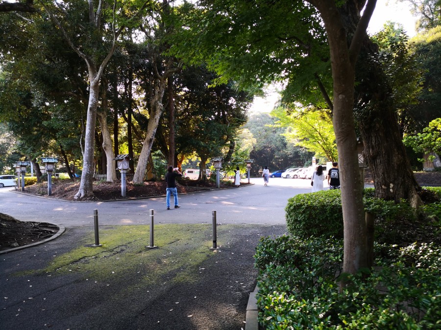 f:id:corocoma:20190826153947j:plain f:id:corocoma:20190826153947j:plain