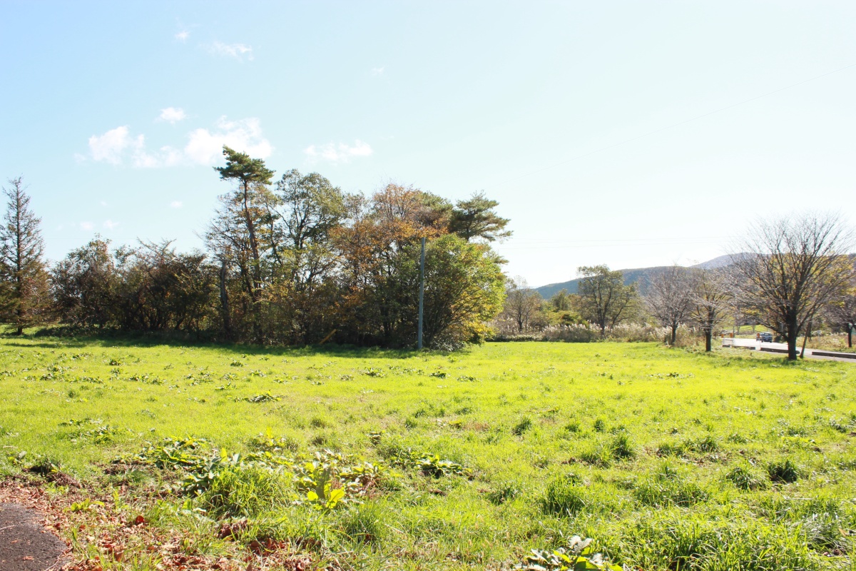 f:id:corocoma:20191028110100j:plain