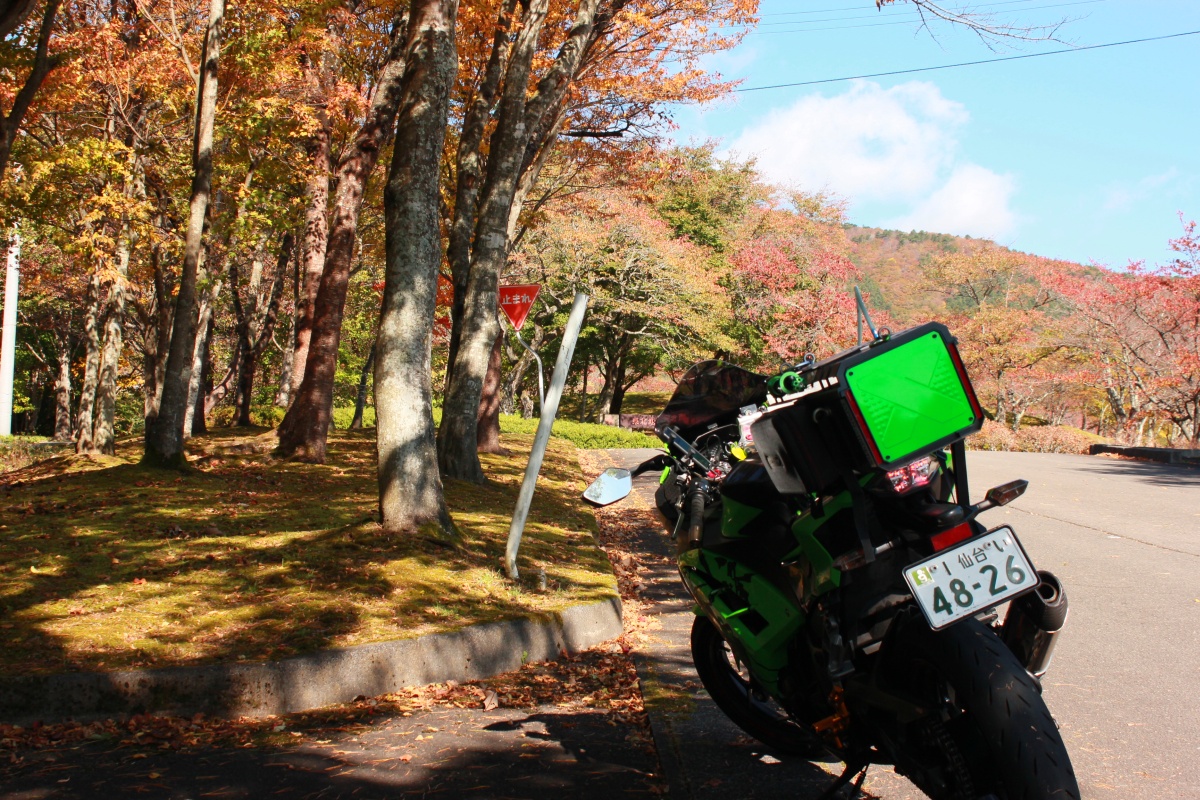 f:id:corocoma:20191028225534j:plain