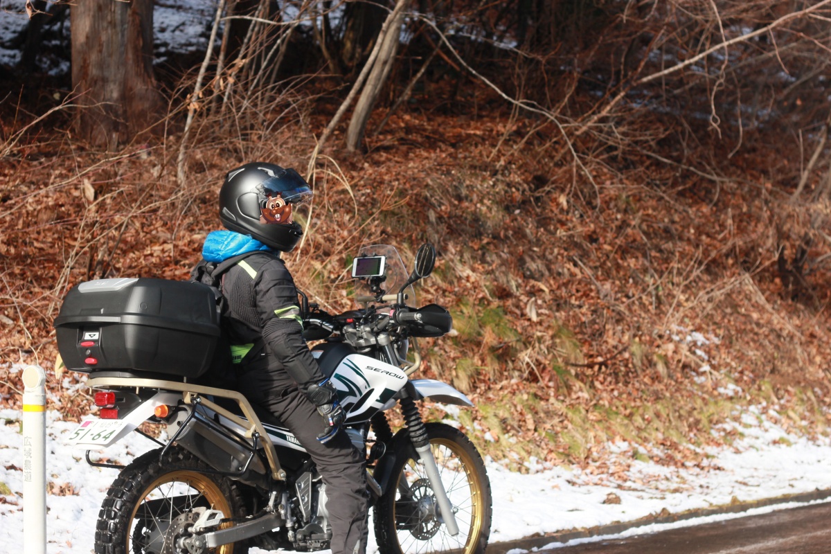 f:id:corocoma:20191223205024j:plain