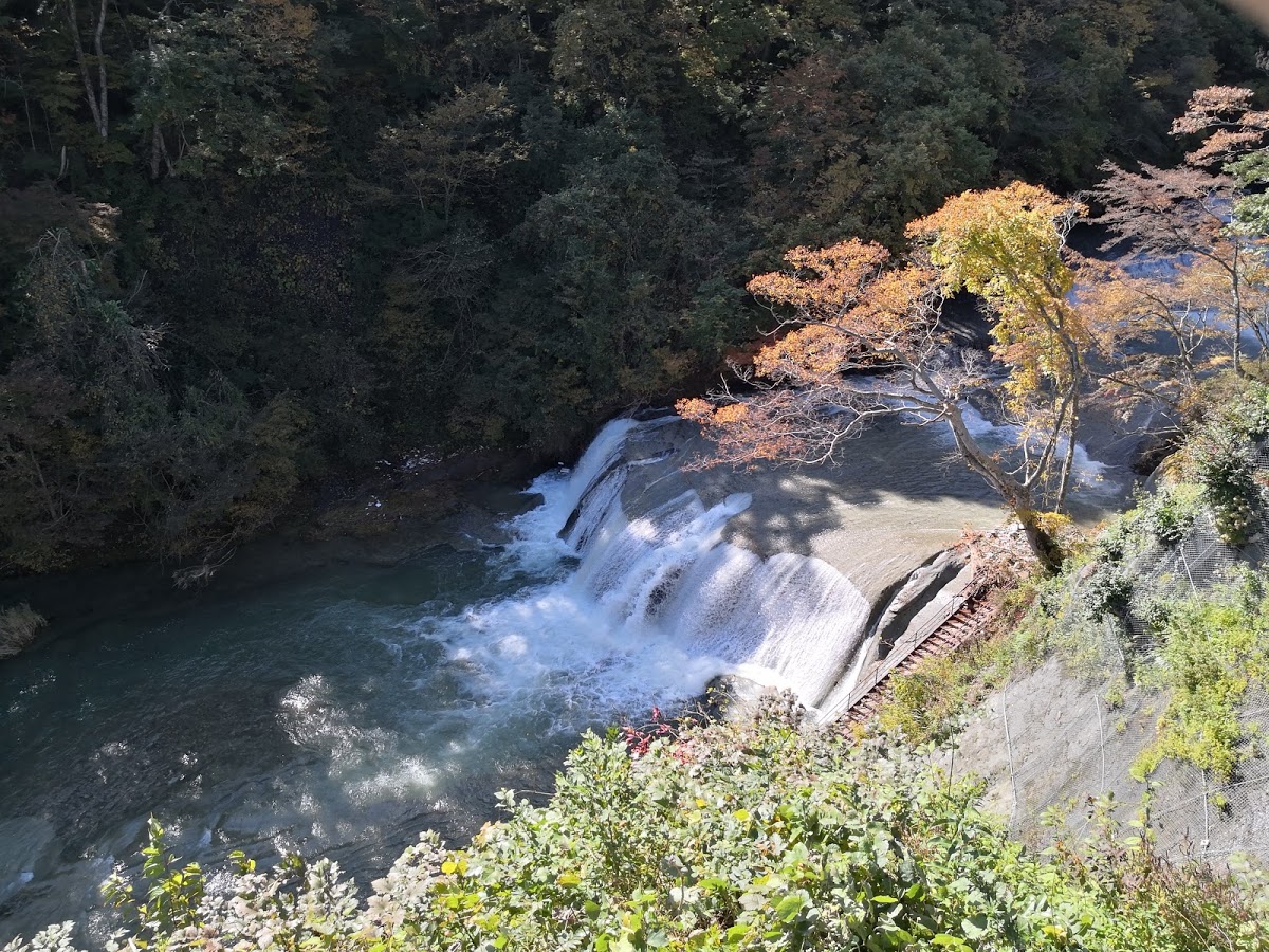 f:id:corocoma:20200607175251j:plain