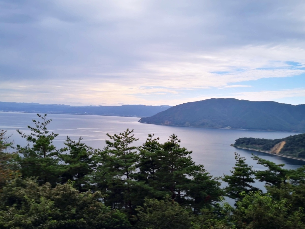 f:id:corocoma:20201007140445j:plain