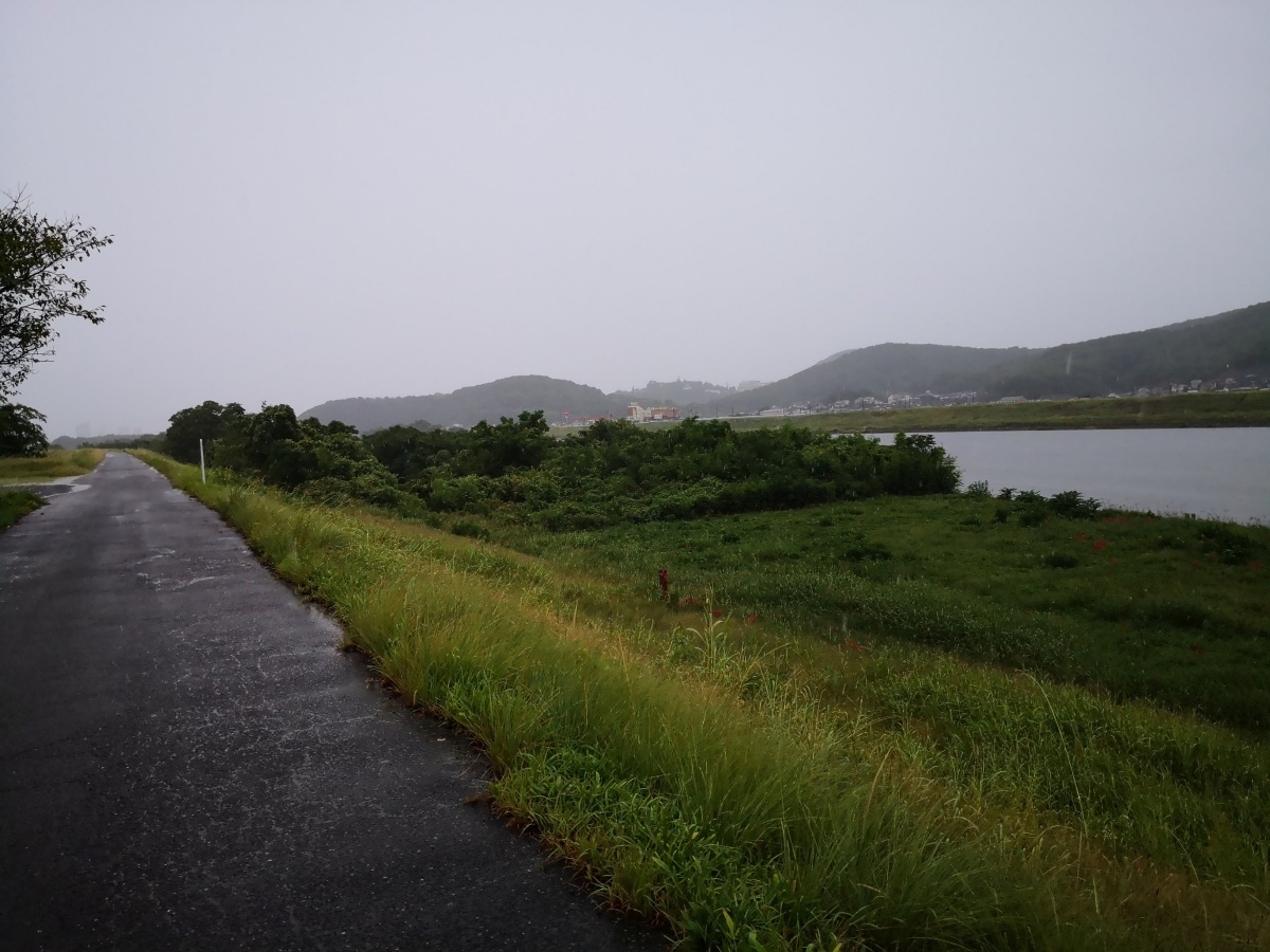 f:id:corocoma:20201008145722j:plain