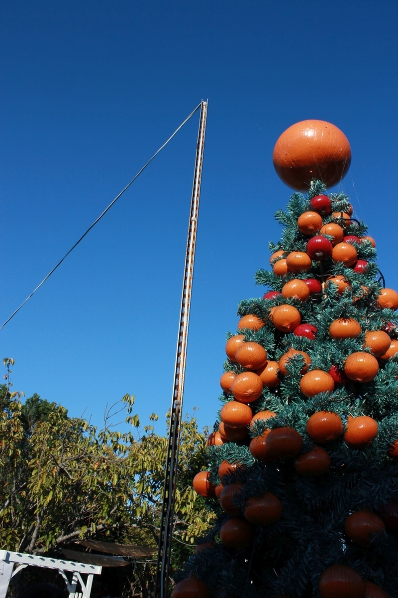 f:id:corocoma:20201011161927j:plain