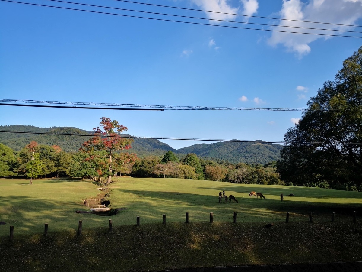 f:id:corocoma:20201012155446j:plain