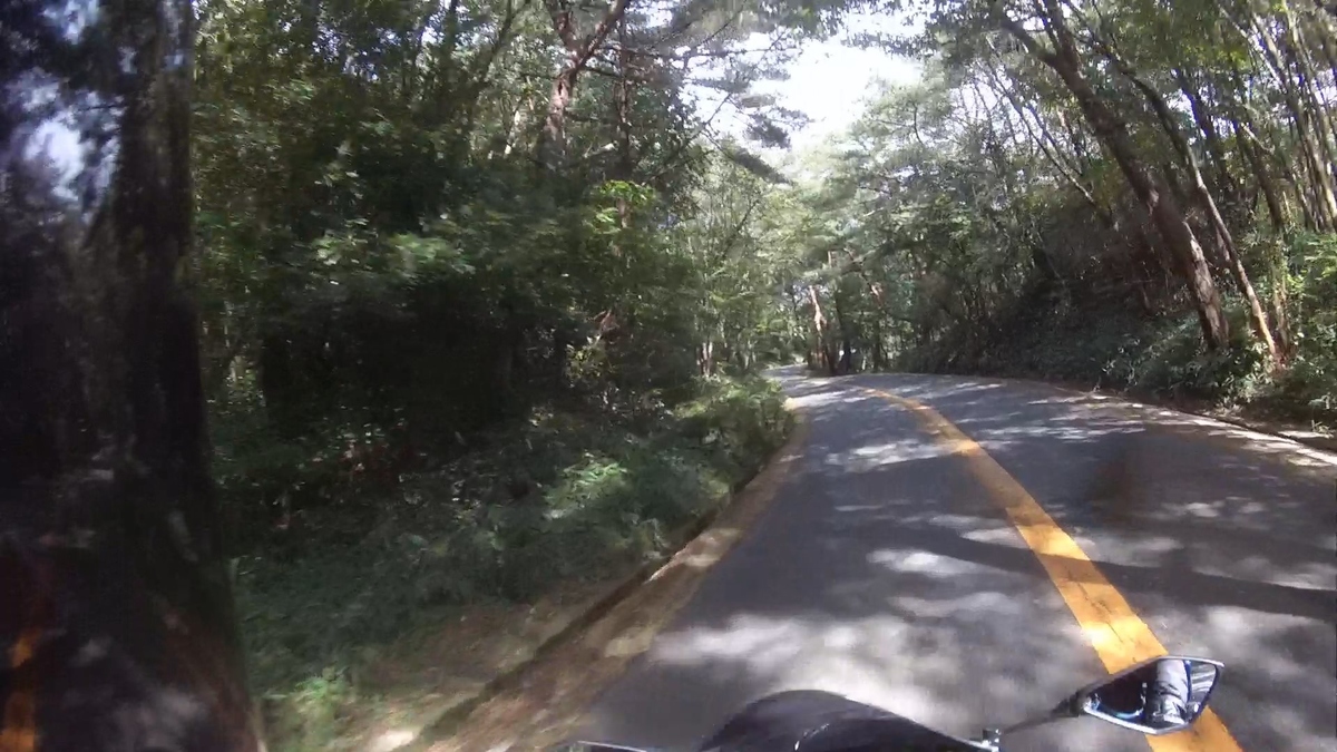 f:id:corocoma:20201108232322j:plain